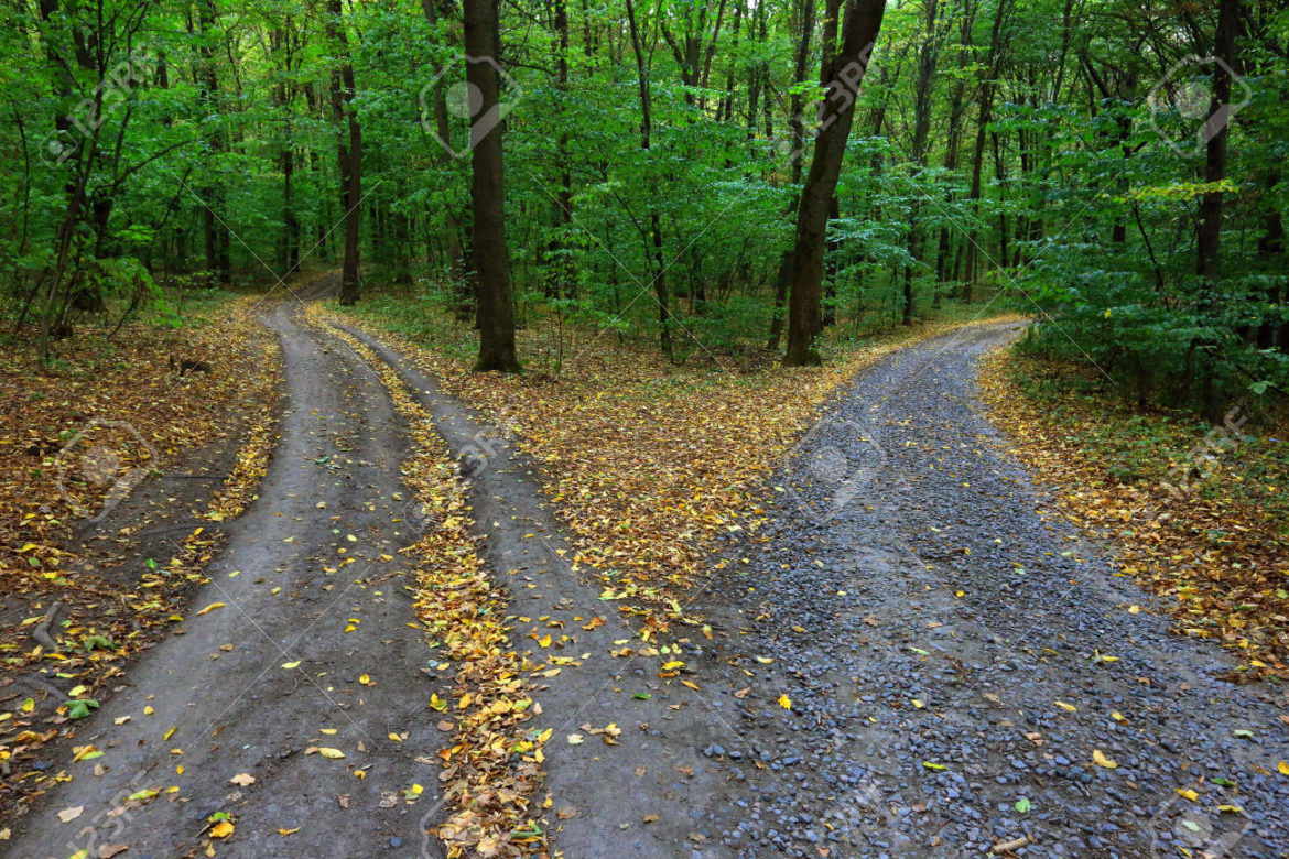 road forks